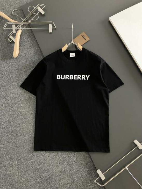 Picture of Burberry T Shirts Short _SKUBurberryS-2XLxetr22219741